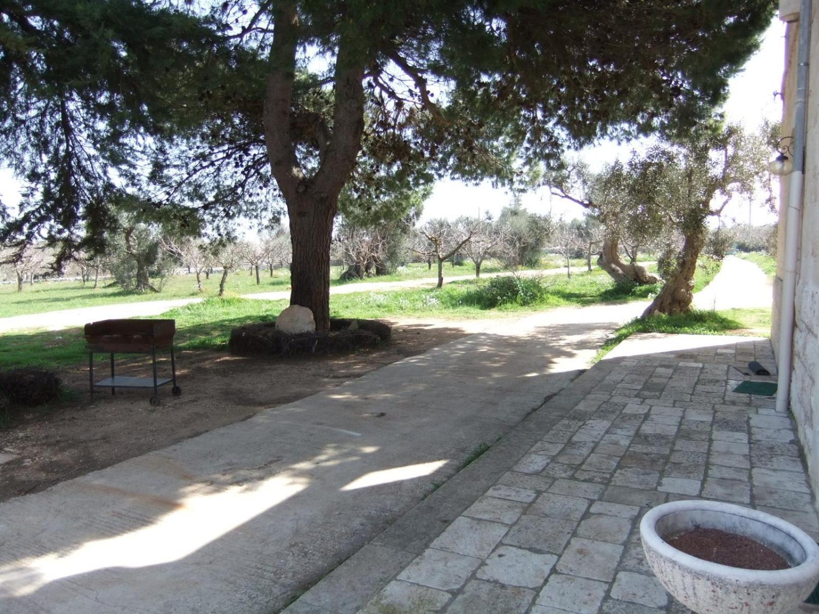 Masseria La Luna Nel Pozzo Castellana Grotte Zewnętrze zdjęcie