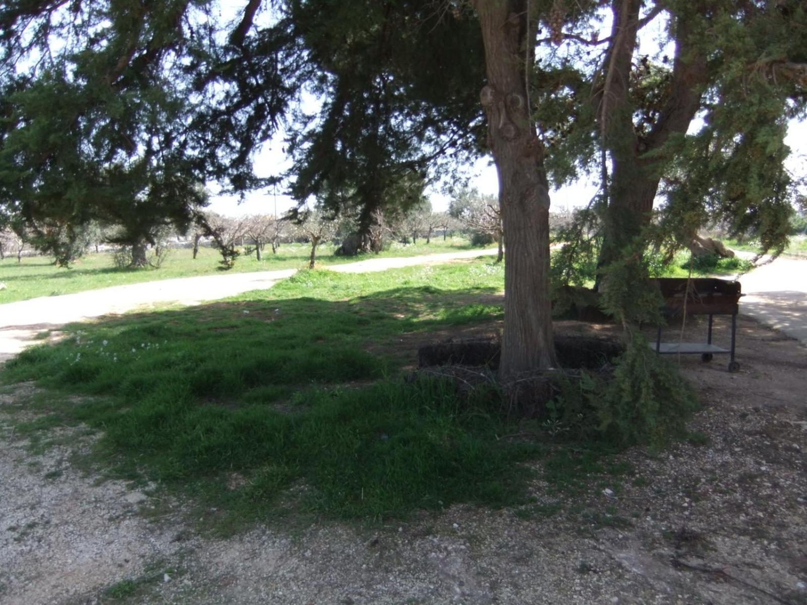 Masseria La Luna Nel Pozzo Castellana Grotte Zewnętrze zdjęcie