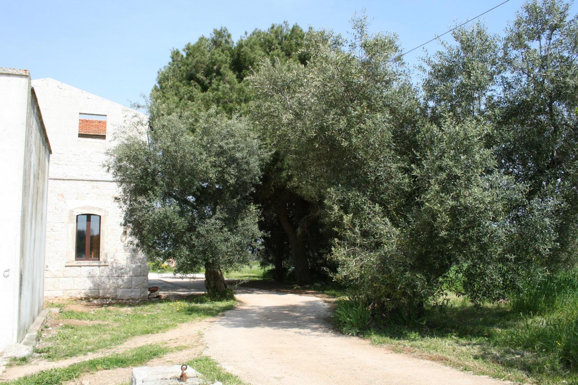 Masseria La Luna Nel Pozzo Castellana Grotte Zewnętrze zdjęcie